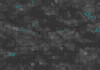 TXTR2566.GIF