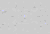 TXTR2517.GIF
