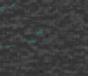 TXTR2415.GIF