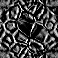 TXTR2309.GIF