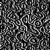 TXTR2304.GIF