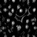 TXTR2303.GIF