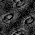 TXTR2297.GIF