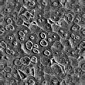 TXTR2294.GIF