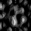 TXTR2292.GIF