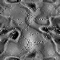 TXTR2283.GIF