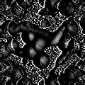 TXTR2271.GIF