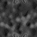 TXTR2268.GIF