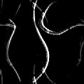 TXTR2263.GIF