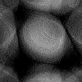 TXTR2254.GIF