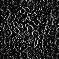 TXTR2242.GIF