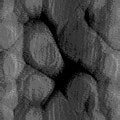 TXTR2238.GIF