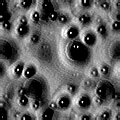 TXTR2237.GIF