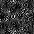 TXTR2231.GIF