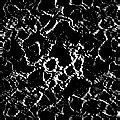 TXTR2229.GIF