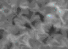 TXTR2087.GIF