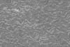 TXTR2058.GIF