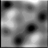 TXTR1889.GIF