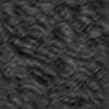 TXTR1716.GIF