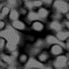 TXTR1568.GIF