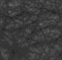 TXTR1558.GIF