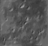 TXTR1406.GIF