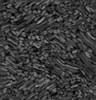 TXTR1309.GIF