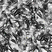 TXTR1203.GIF