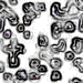 TXTR1155.GIF