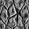 TXTR0964.GIF