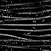 TXTR0949.GIF