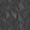 TXTR0947.GIF