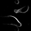 TXTR0945.GIF