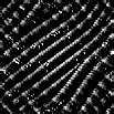 TXTR0943.GIF