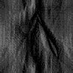 TXTR0939.GIF