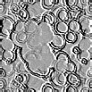 TXTR0937.GIF
