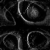 TXTR0936.GIF