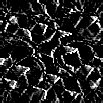 TXTR0935.GIF