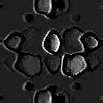 TXTR0934.GIF