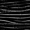 TXTR0922.GIF