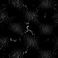 TXTR0914.GIF