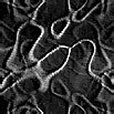 TXTR0913.GIF