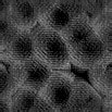 TXTR0910.GIF