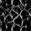 TXTR0900.GIF