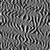 TXTR0894.GIF