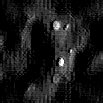 TXTR0892.GIF