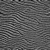 TXTR0887.GIF