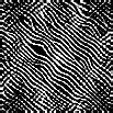 TXTR0866.GIF