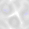 TXTR0748.GIF