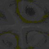 TXTR0705.GIF